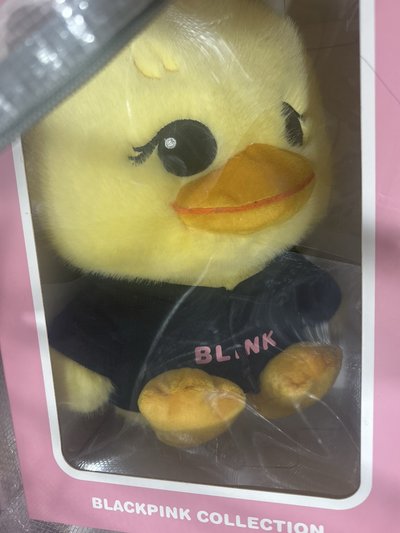 BLACKPINK台北快閃週邊（現貨3/5購入）大娃/鍵帽/吊飾/斜揹娃/娃鏡