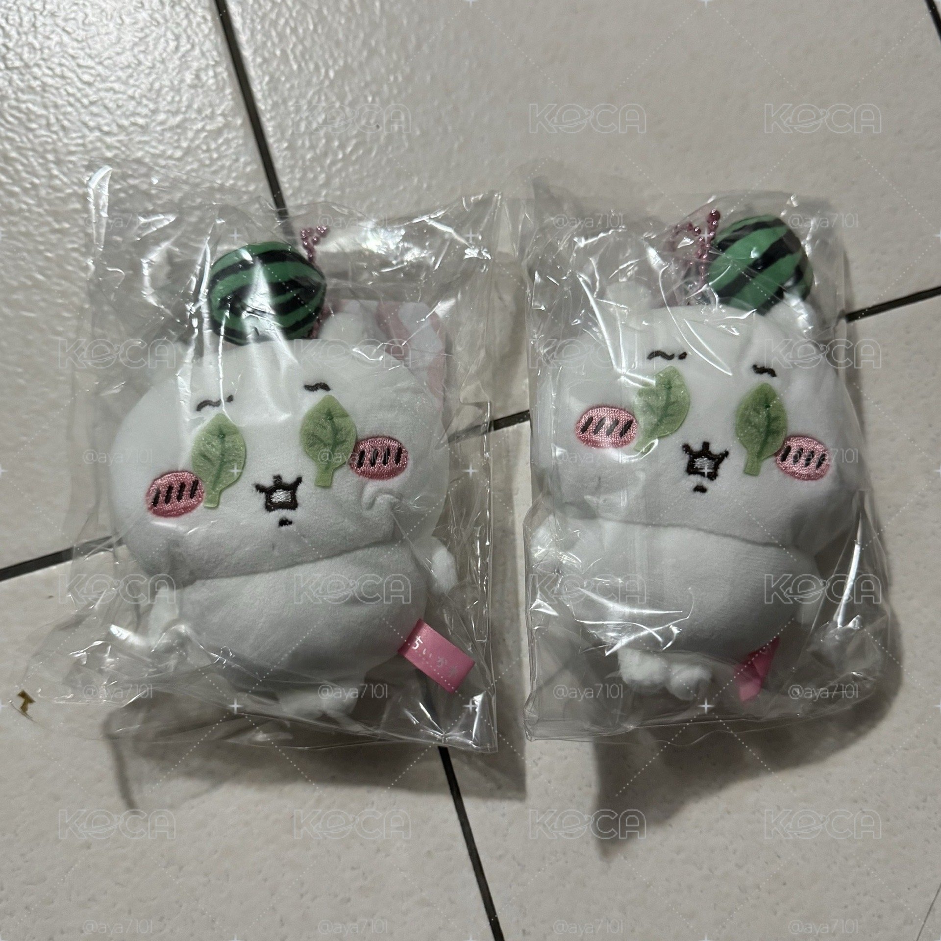 西瓜  吉伊 小八 烏薩奇