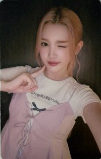 單一 kms 7.0 v1  簽售卡 花店最終場