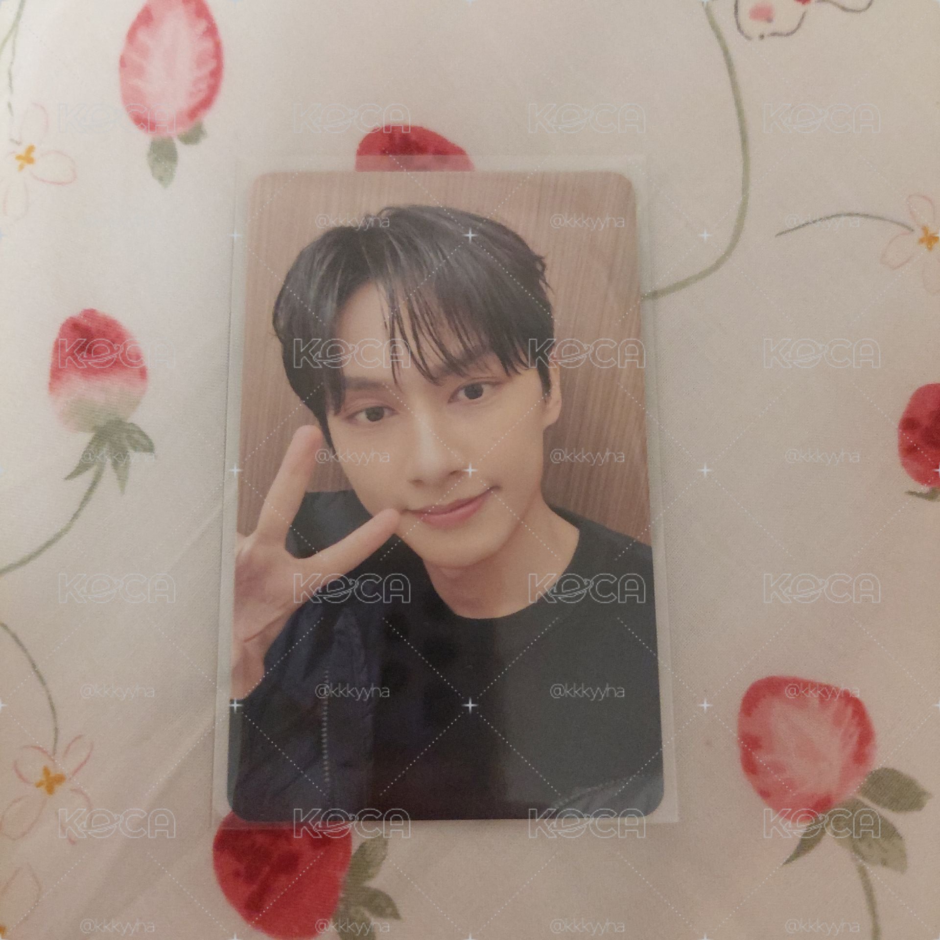 🍀俊輝 SEVENTEEN 十週年 潛水橋 集章卡