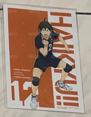 山口全身