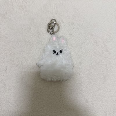 SKZ LEEKNOW 3rd 世巡 日本場周 手指套娃