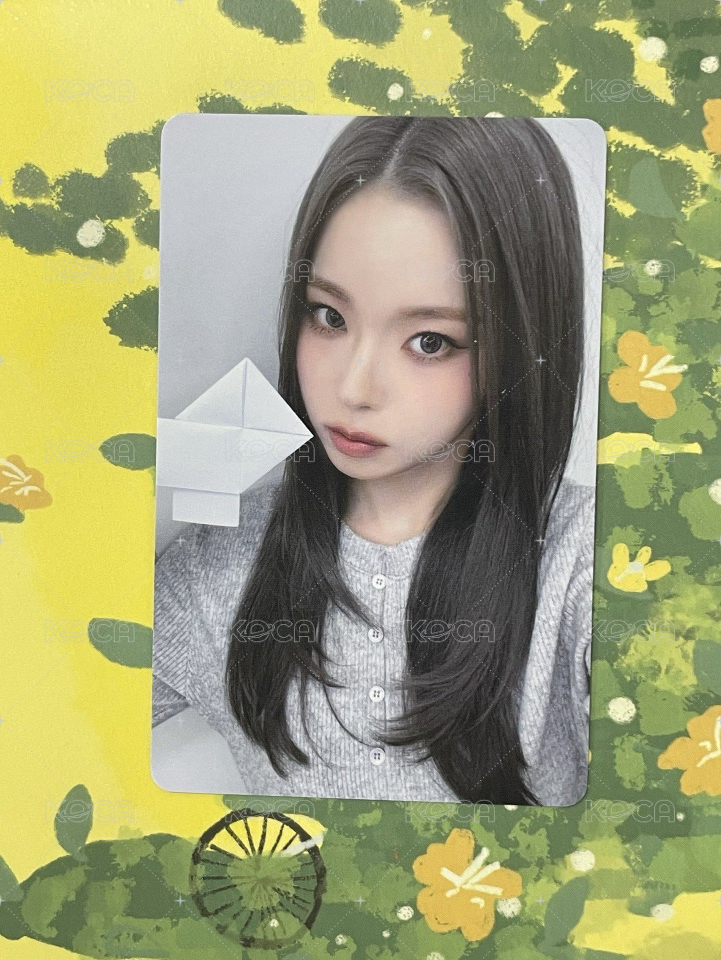 圭
