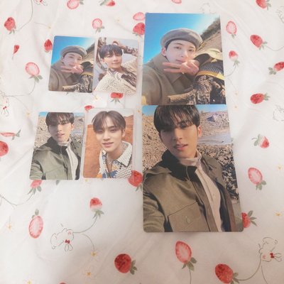 SEVENTEEN 正4 FACE THE SUN wvs 特典卡 勝哲 淨漢 知秀 順榮 知勳 碩珉 珉奎 勝寛 燦