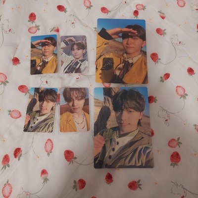 SEVENTEEN 正4 FACE THE SUN wvs 特典卡 勝哲 淨漢 知秀 順榮 知勳 碩珉 珉奎 勝寛 燦