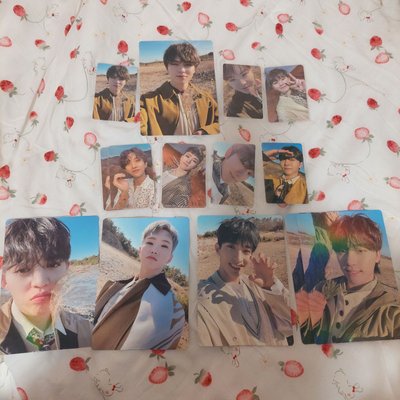 SEVENTEEN 正4 FACE THE SUN wvs 特典卡 勝哲 淨漢 知秀 順榮 知勳 碩珉 珉奎 勝寛 燦