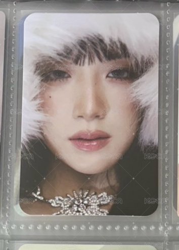 雪帽 快閃官拍