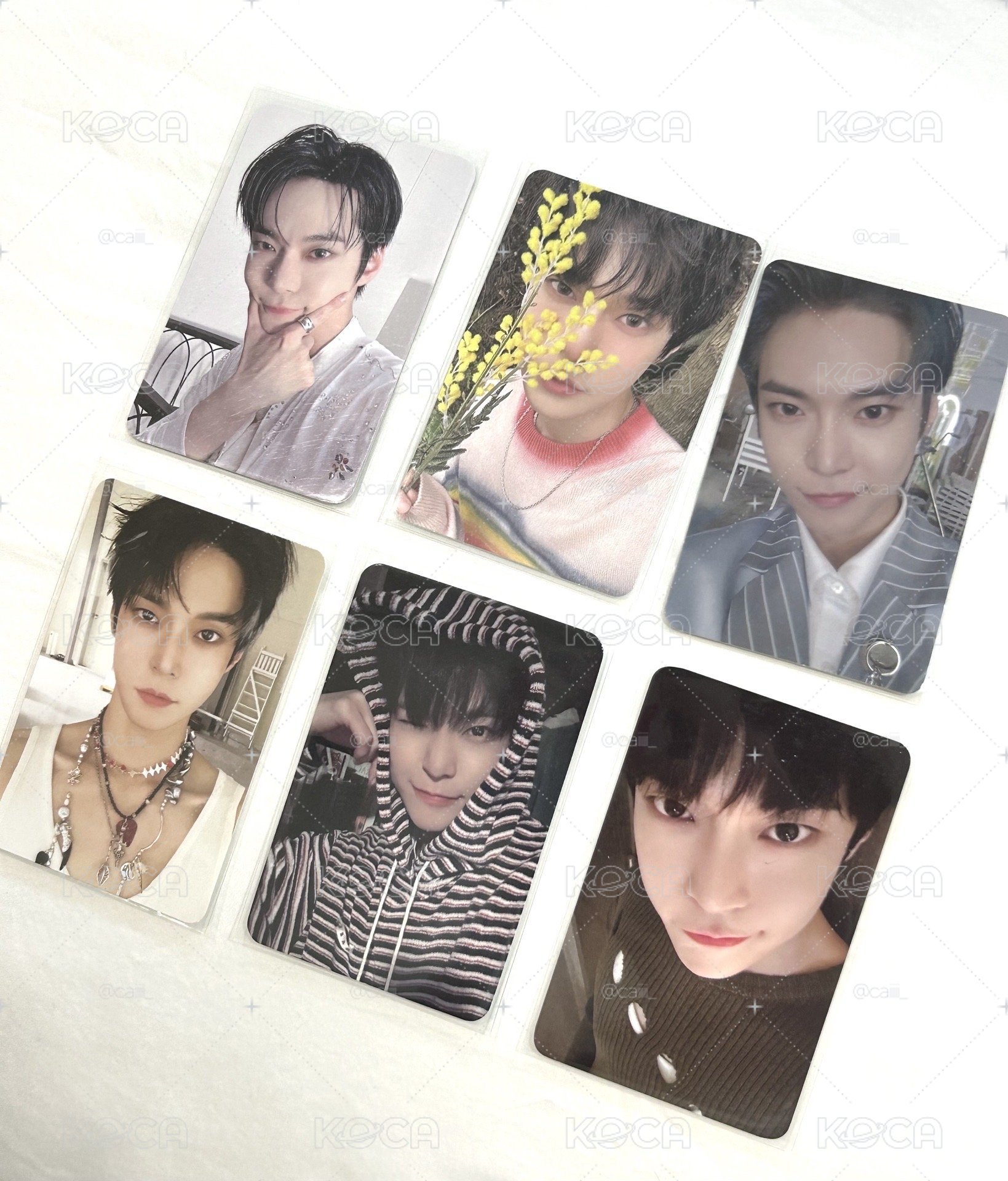 Nct127 金道英小卡