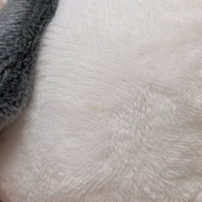 Sanrio｜帕恰狗 磁吸吊飾