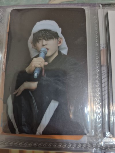 🩷哲 POL WVS特典卡