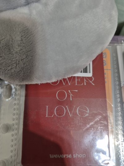 🩷哲 POL WVS特典卡