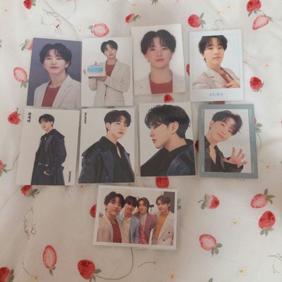 SEVENTEEN HARE 日本 卡包 小卡 日卡 順榮 珉奎 知勳