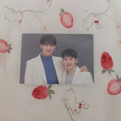 SEVENTEEN HARE 日本 卡包 小卡 日卡 順榮 珉奎 知勳