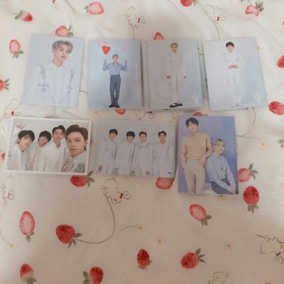 SEVENTEEN 蛋巡 DOME 2020 SVT 淨漢 順榮 圓佑 黑泡 圓順