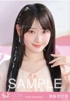 齋藤樹愛羅| KOCA