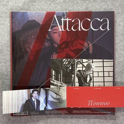 Seventeen 迷九Attacca 泡隊pb 全員pb 透卡 小卡