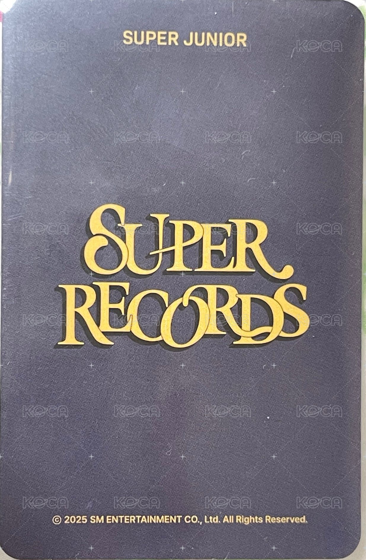 20週年展覽 首爾 周邊卡 徽章卡 背面