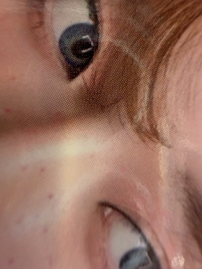 Better Things 隨機卡 B冬 一組 捲毛冬 聞花冬