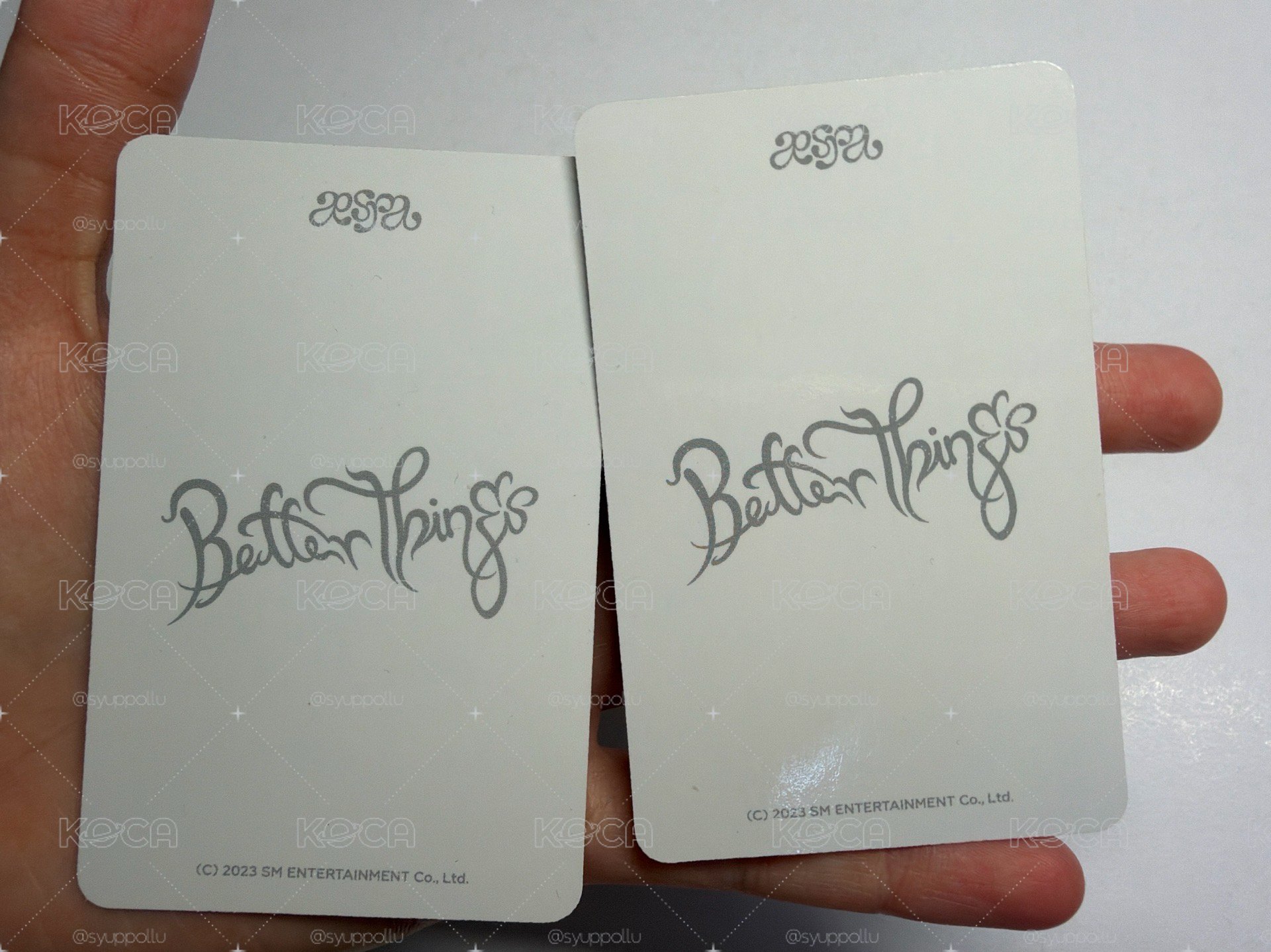 Better Things 隨機卡 B冬 一組 捲毛冬 聞花冬