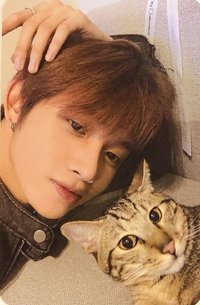 原子少年2時期 代言卡 貓咪卡