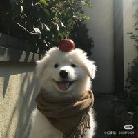 Mubaiiii