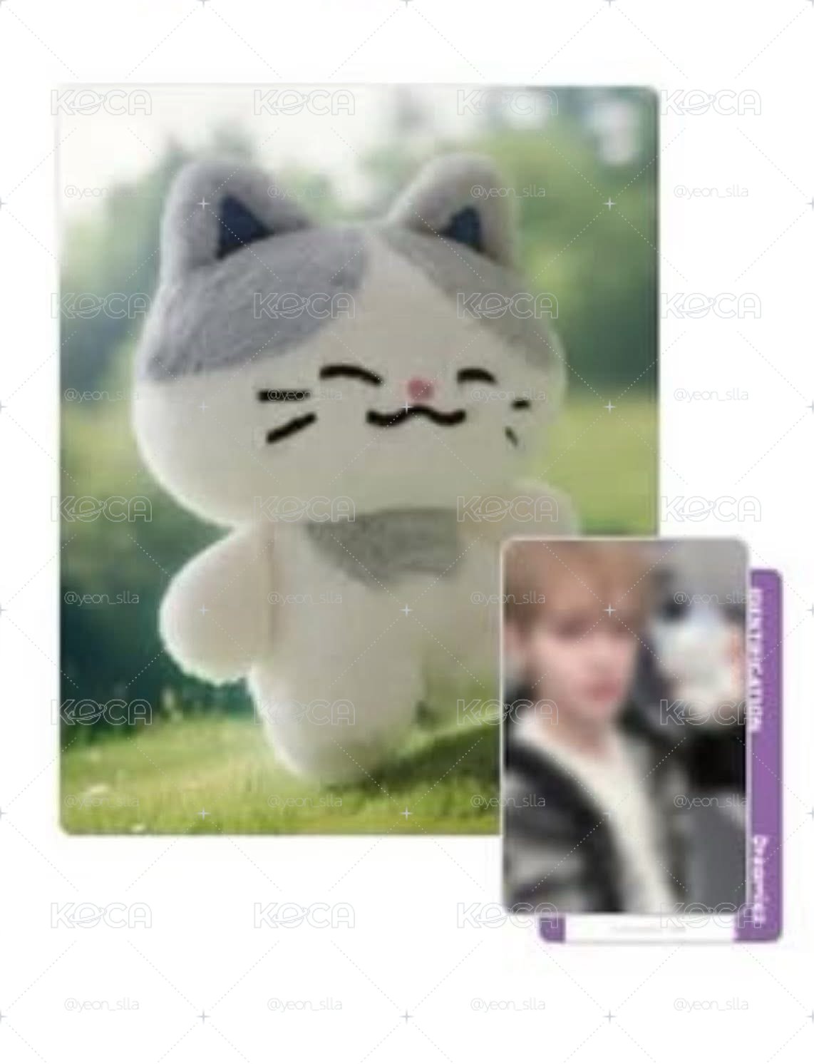 LINE FRIENDS辰樂原皮娃娃