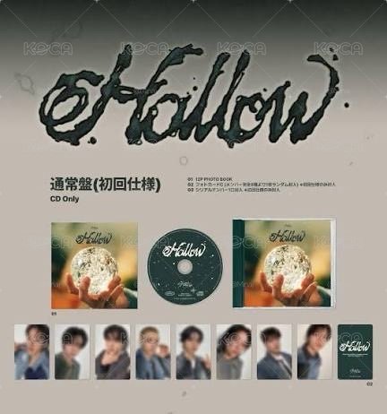 hollow通常盤 未拆