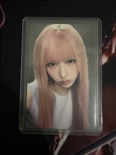 秋天WM特典