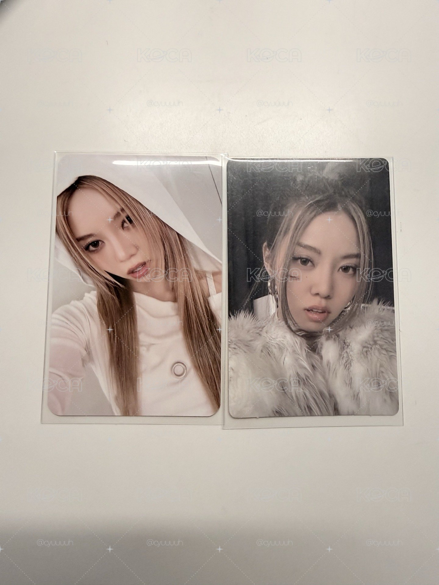 ADP Bailey clio代言卡 專卡