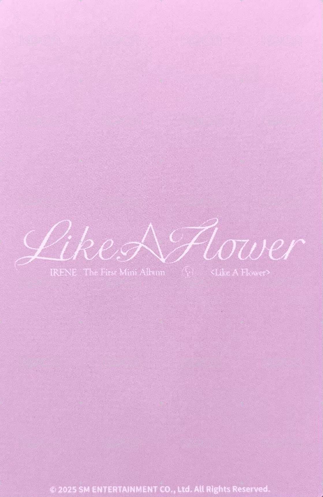 Like A Flower 周邊卡 地毯姐 背面