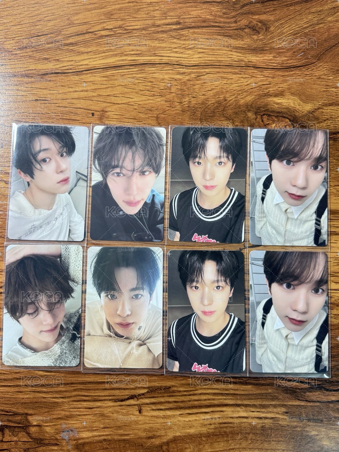 NCT WISH STEADY 部分小卡
