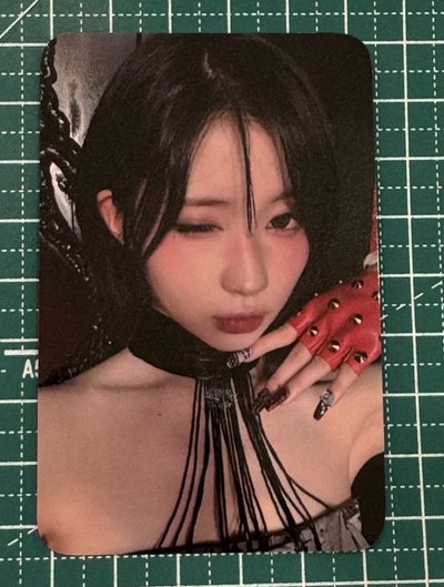 上海滿額角中背