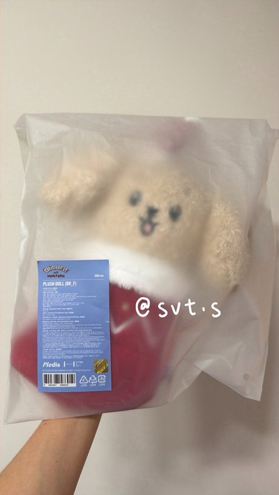 （3/12更）全新現貨 miniteen 聖誕襪娃 站姿娃娃 DOA 李碩珉 WVS購入