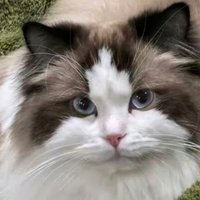 en（記得按完成訂單🙇🏻‍♀️）