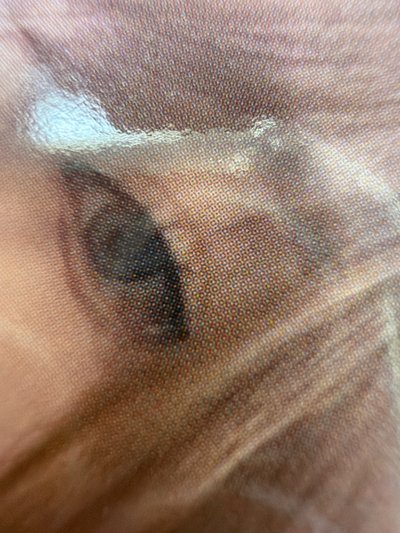 Drama sr 特典卡 星河預售B冬 紅冬