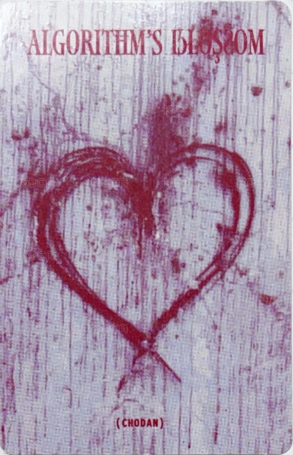 迷二 專輯卡 blossom ver. B 背面