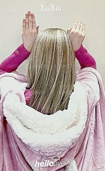 Delulu Pack hl 2.0 簽售卡 兔子毛毯 背面