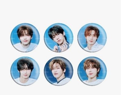 道勳＆韓振徽章