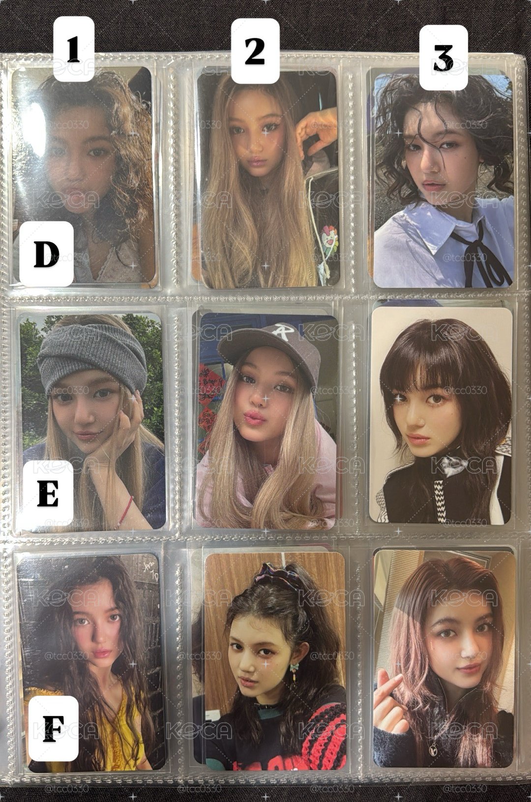 Dani卡