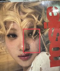 大全收(2張瑕疵專肉卡3莎卡1)(會再多送肉小卡跟簽售卡)