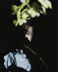 ant 明信片 e