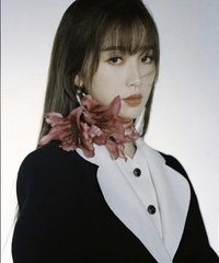 ant 明信片 h