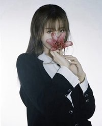 ant 明信片 h