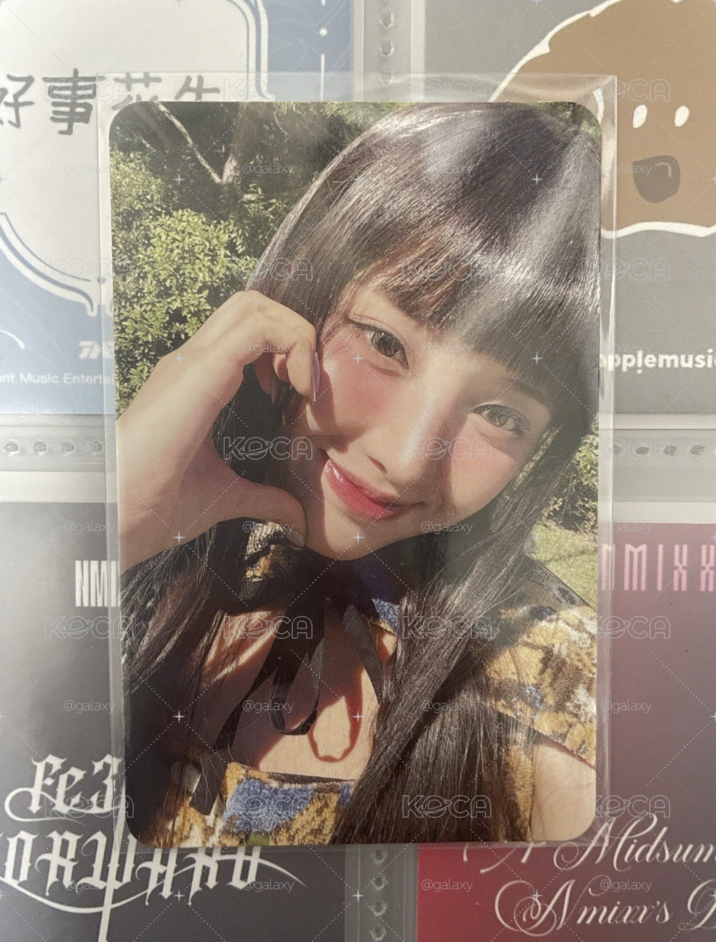 Ms友☑️