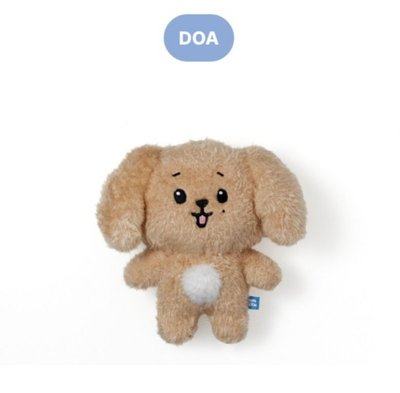 Miniteen站娃：尹淨漢，洪知秀，全圓佑，李知勳，李碩珉