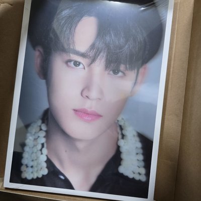 SEVENTEEN DICON 巨大寫真本