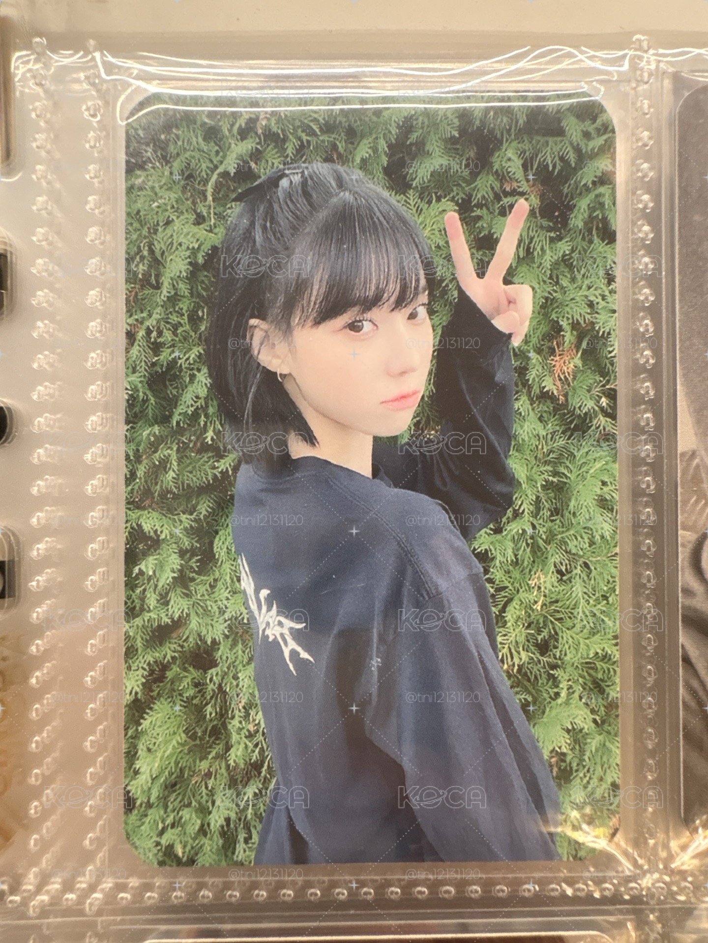 綠牆冬直出