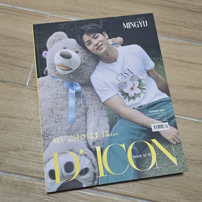 SEVENTEEN DICON 寫真本 圓佑 珉奎