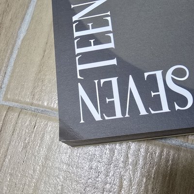 SEVENTEEN DICON 寫真本 圓佑 珉奎