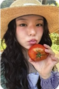 WHEEIN 2026 SEASON'S GREETINGS [FRUITFUL HOLIDAY] sw 線上 簽售卡 